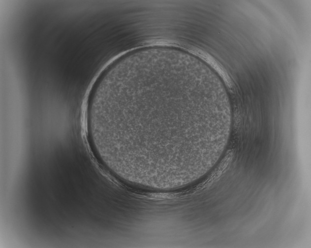 X0000102521132200809051437