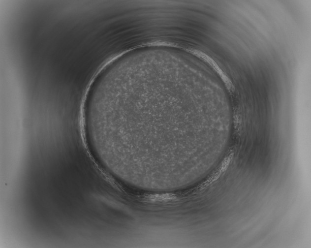 X0000102521133200809051437