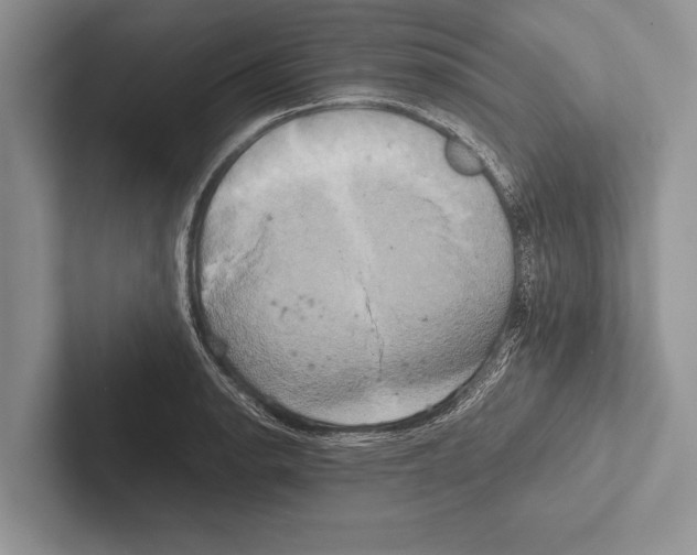 X0000102521134200809051437