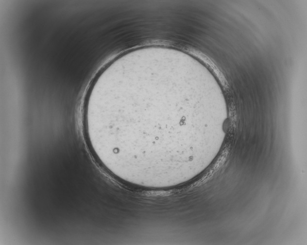 X0000102521135200809051437