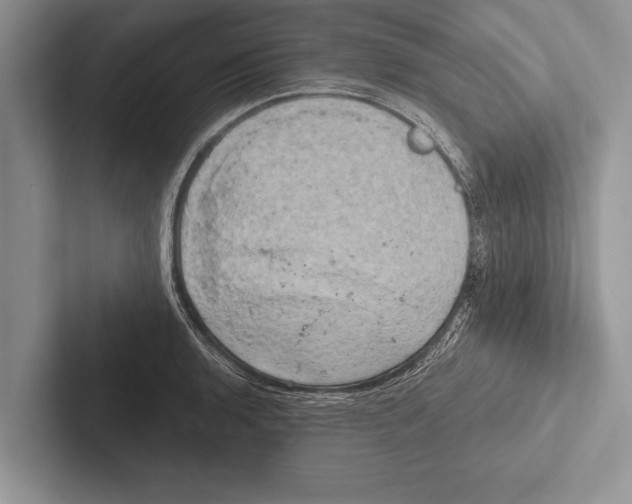 X0000102521136200809051438