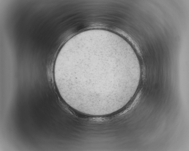 X0000102521137200809051438