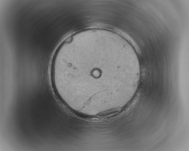 X0000102521138200809051438