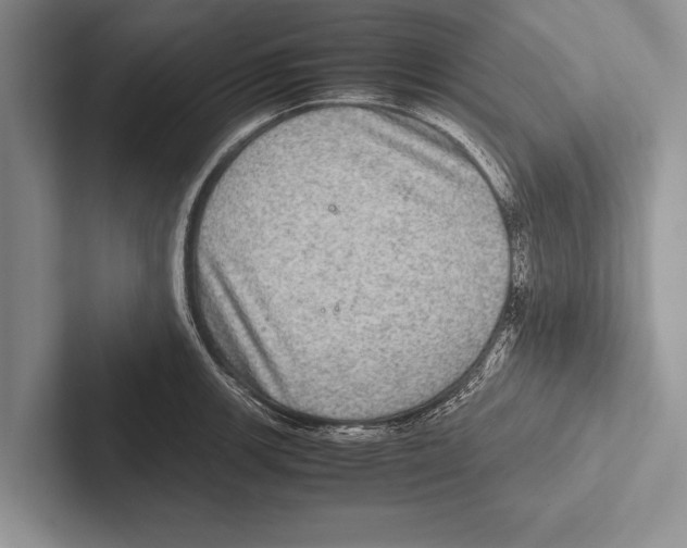 X0000102521139200809051438