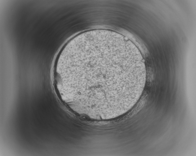 X0000102521140200809051438