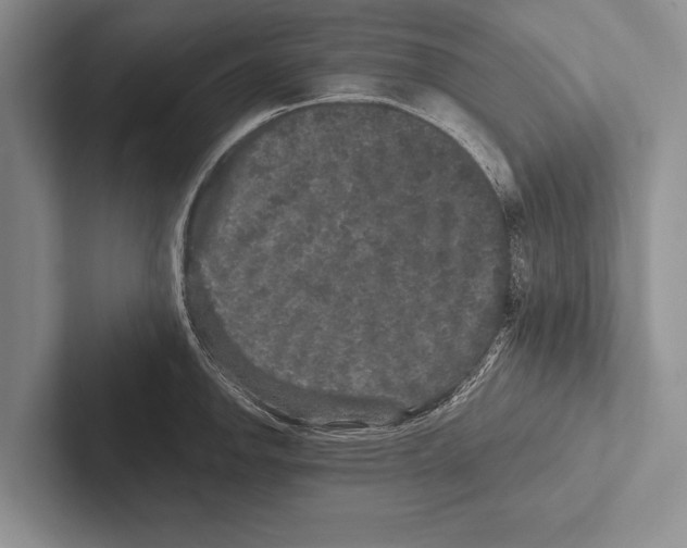 X0000102521142200809051438