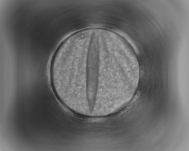 X0000102521143200809051438