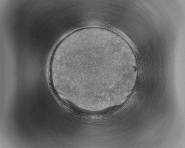 X0000102521144200809051438