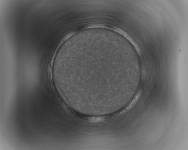 X0000102521145200809051438