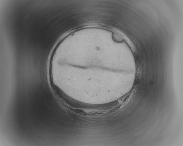 X0000102521146200809051438