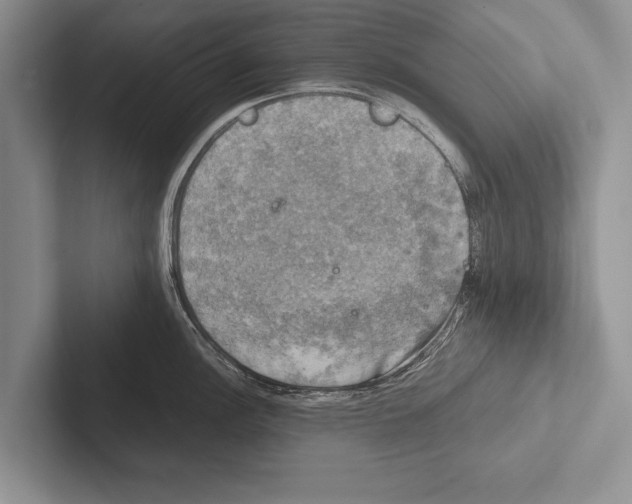 X0000102521148200809051438