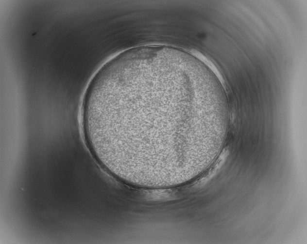 X0000102521149200809051438