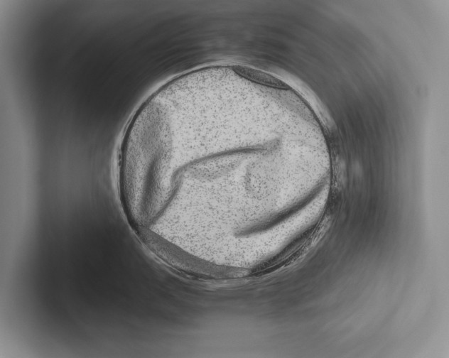 X0000102521151200809051438