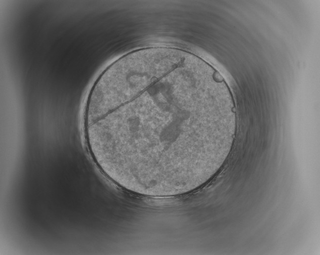 X0000102521152200809051438