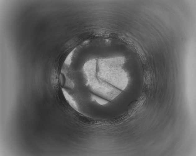 X0000102521154200809051437