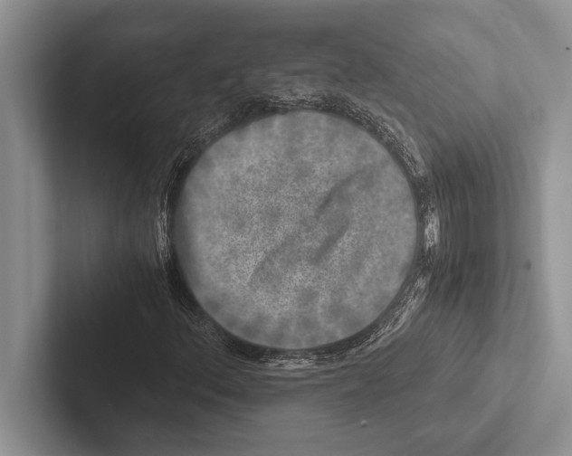 X0000102521156200809051437