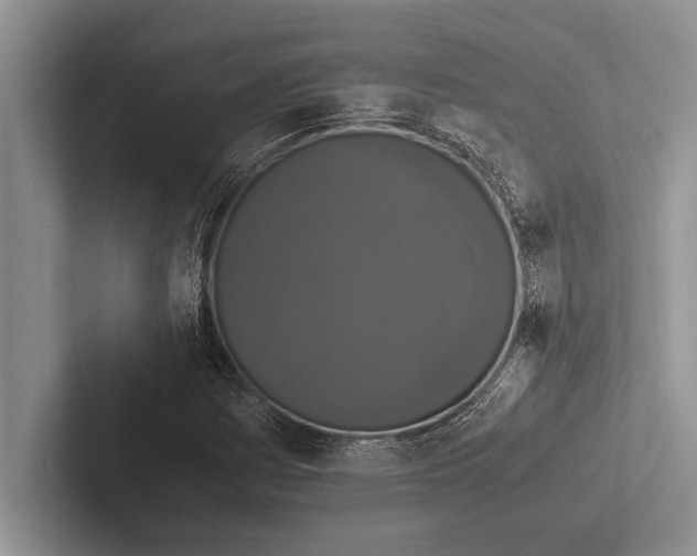 X0000102521161200809051437