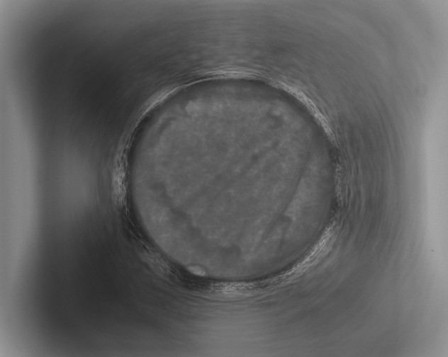 X0000102521163200809051437