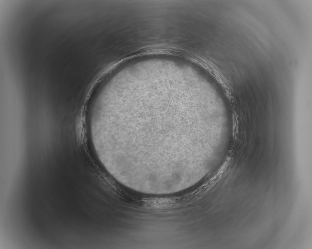 X0000102521164200809051437