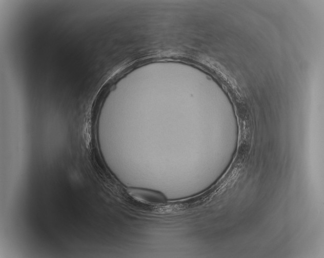 X0000102521165200809051437