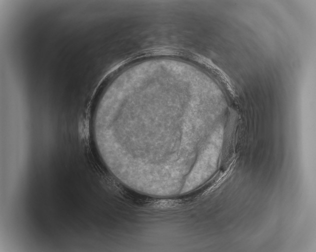 X0000102521166200809051437