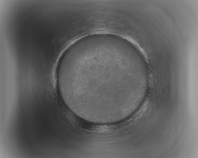 X0000102521167200809051437