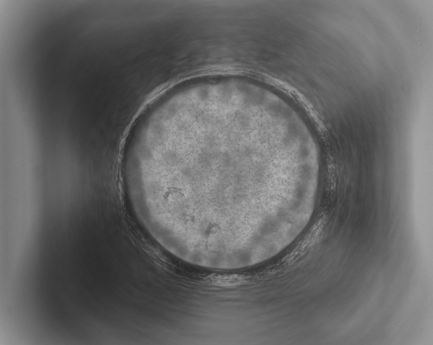 X0000102521168200809051437