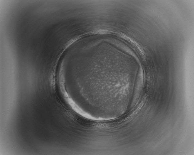 X0000102521170200809051437