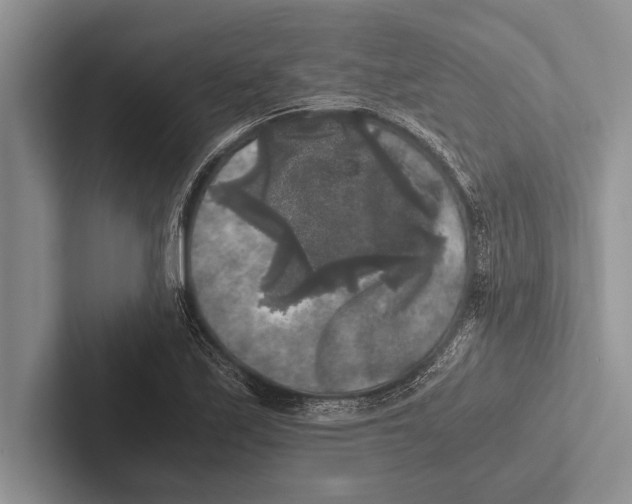 X0000102521171200809051437