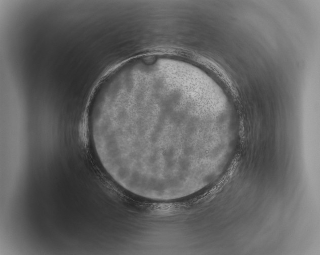 X0000102521172200809051437