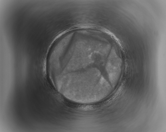 X0000102521174200809051437