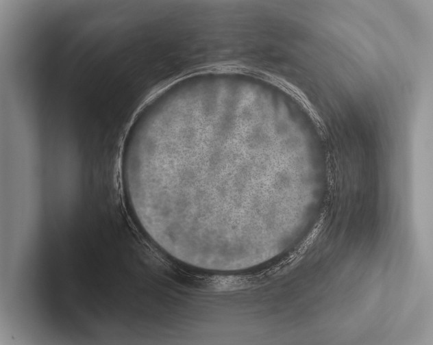 X0000102521176200809051437