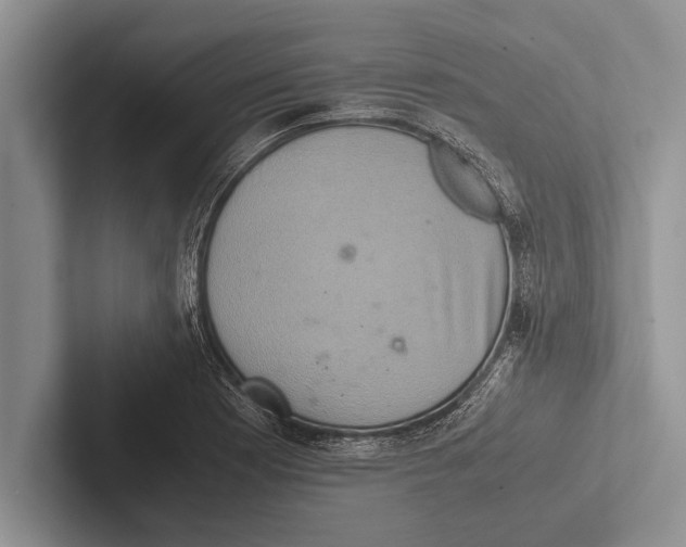 X0000102521177200809051437