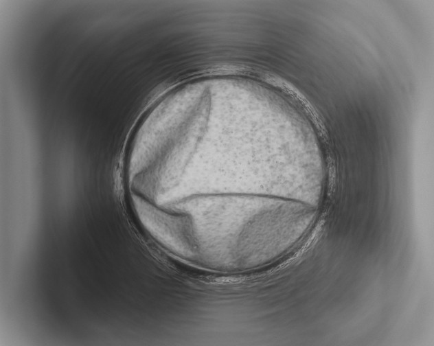 X0000102521178200809051437