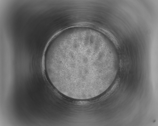 X0000102521180200809051437