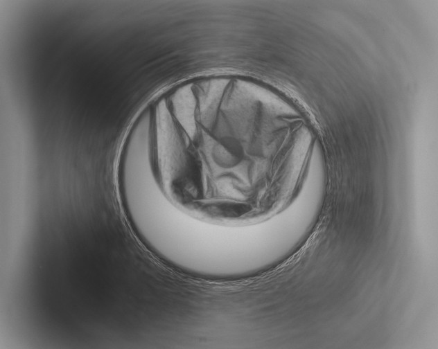 X0000102521181200809051437