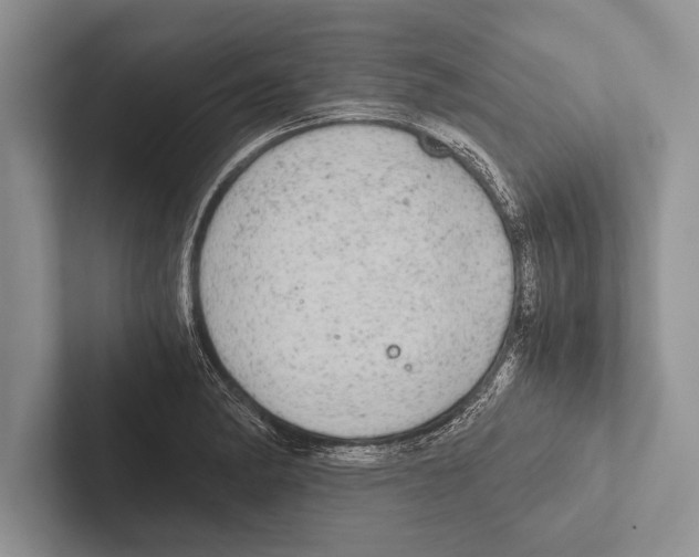 X0000102521182200809051437