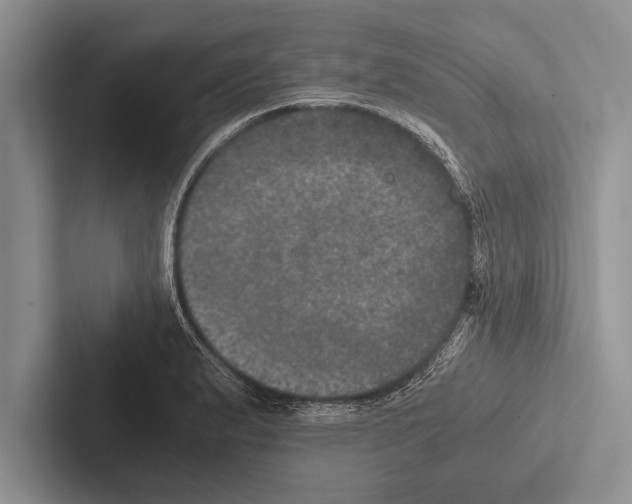 X0000102521183200809051437