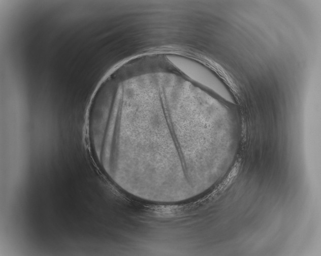 X0000102521184200809051437