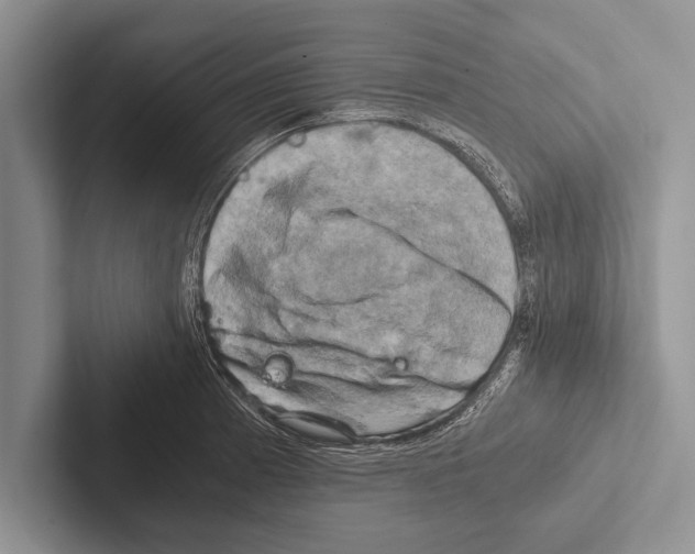 X0000102521185200809051437