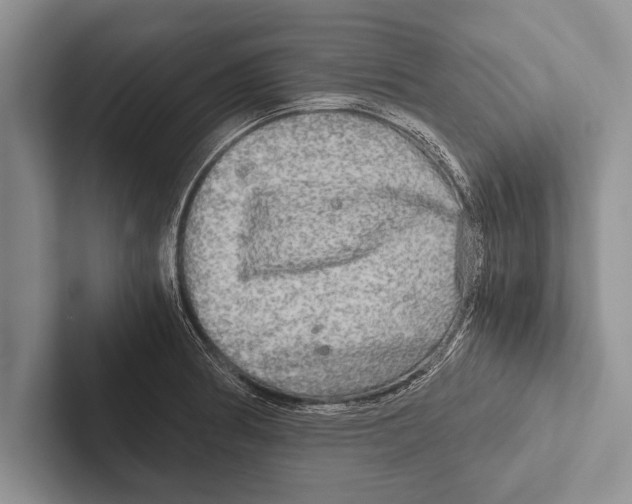 X0000102521186200809051437