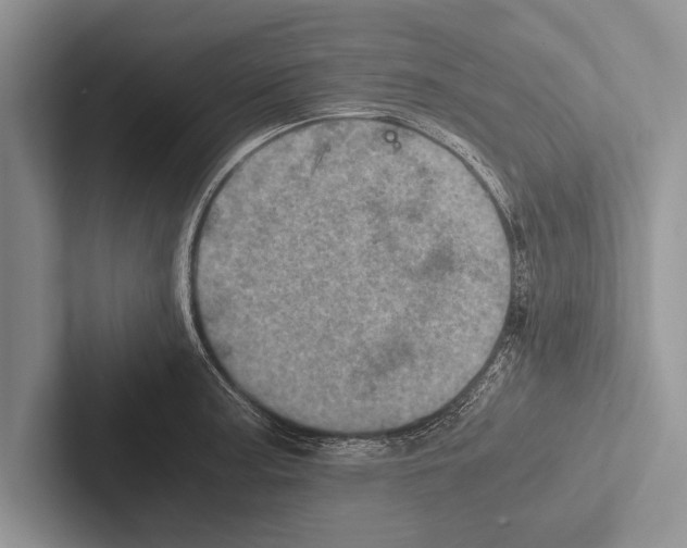 X0000102521187200809051437