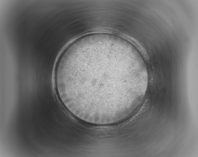 X0000102521188200809051437