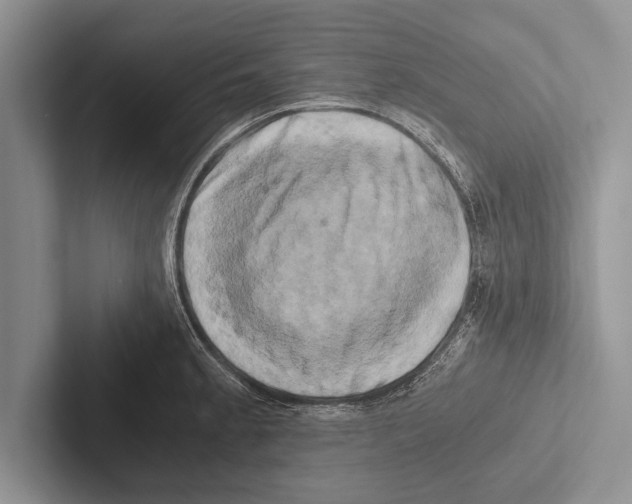 X0000102521189200809051437