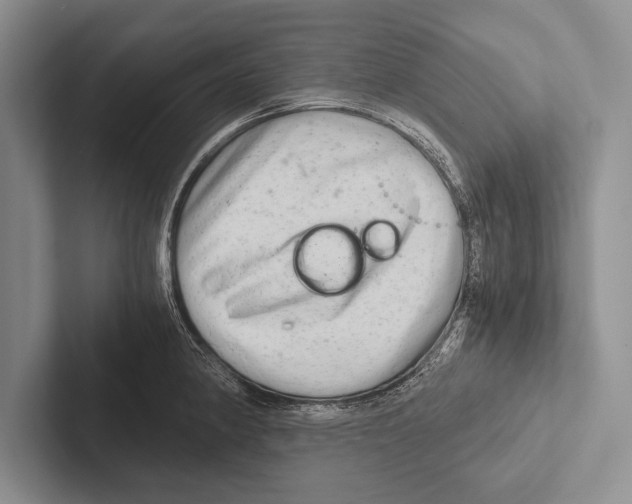 X0000102521190200809051437