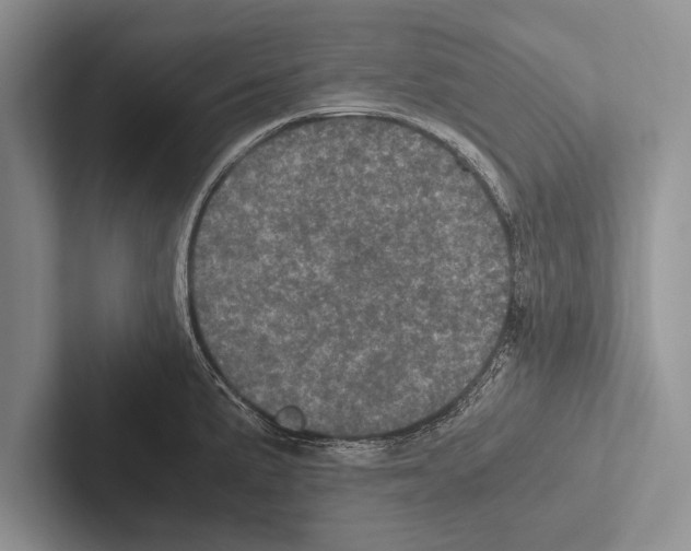 X0000102521191200809051437