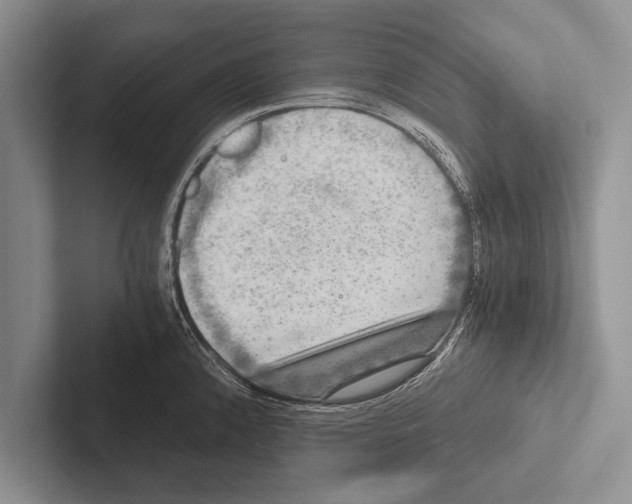 X0000102521192200809051437