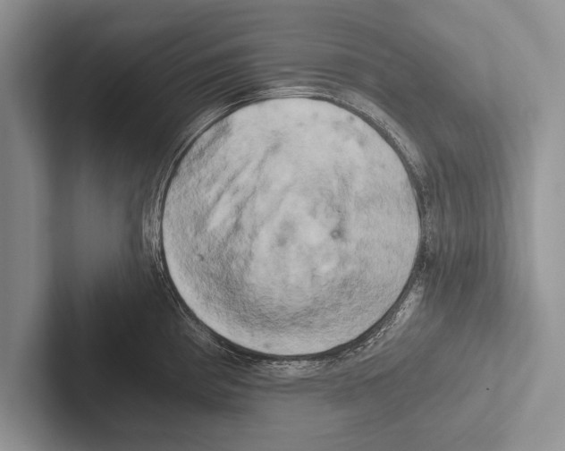 X0000102521193200809051437