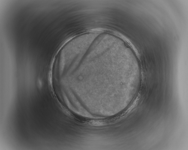 X0000102521194200809051437