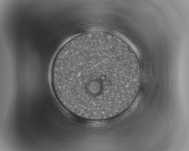 X0000102521195200809051436